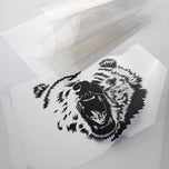Acetate Roll